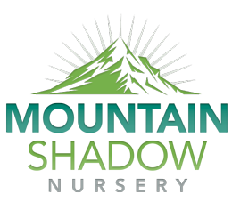 Mountain Shadow Nursery Logo